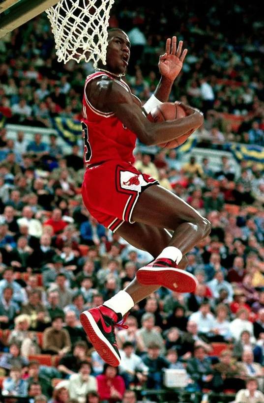 Michael Jordan evidence 5